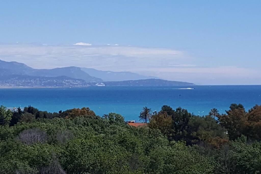Superbe Appartement, Piscine, Vue Mer Et Montagnes Antibes Exteriör bild