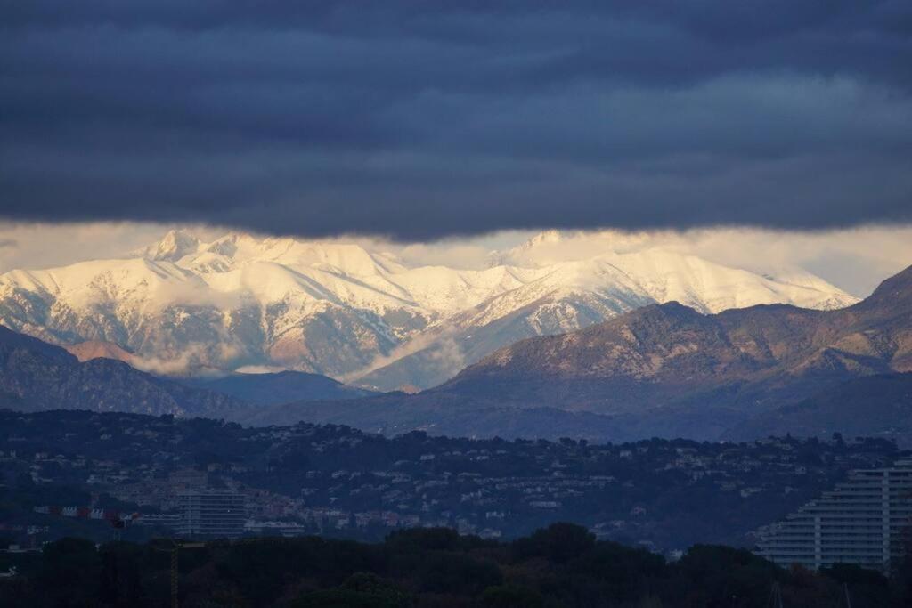 Superbe Appartement, Piscine, Vue Mer Et Montagnes Antibes Exteriör bild