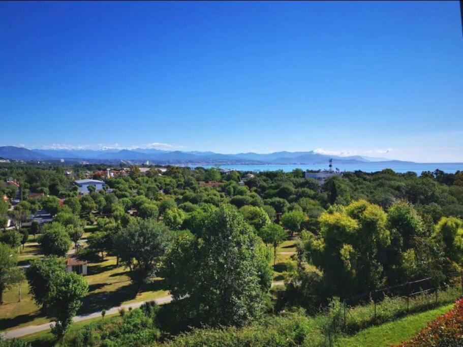 Superbe Appartement, Piscine, Vue Mer Et Montagnes Antibes Exteriör bild