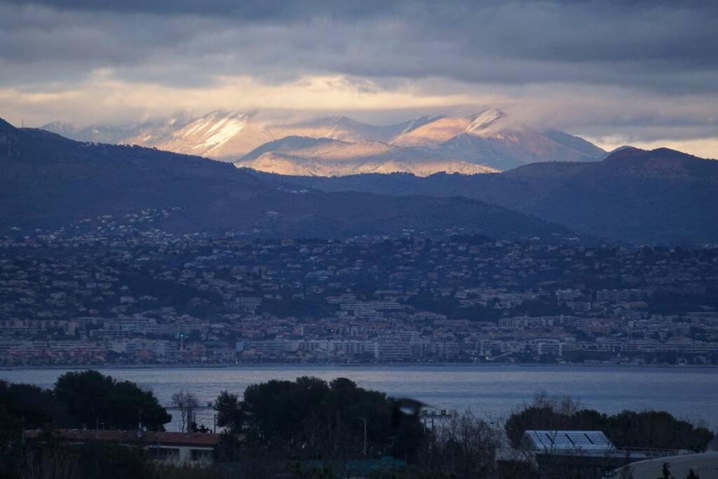 Superbe Appartement, Piscine, Vue Mer Et Montagnes Antibes Exteriör bild